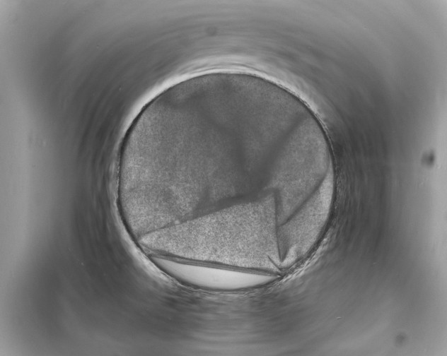 X0000098181526200805221526