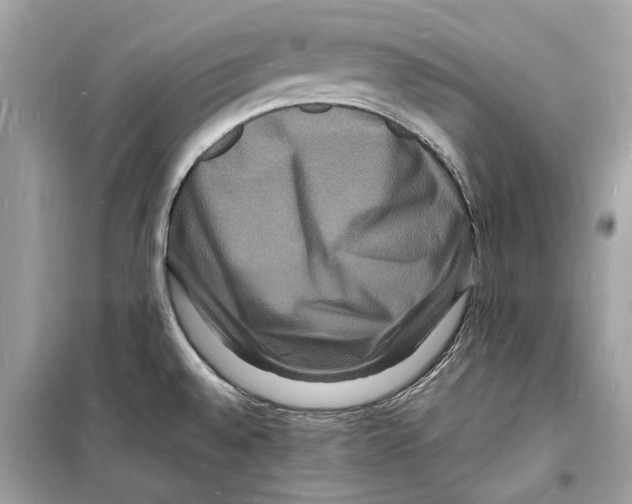 X0000098181528200805221526