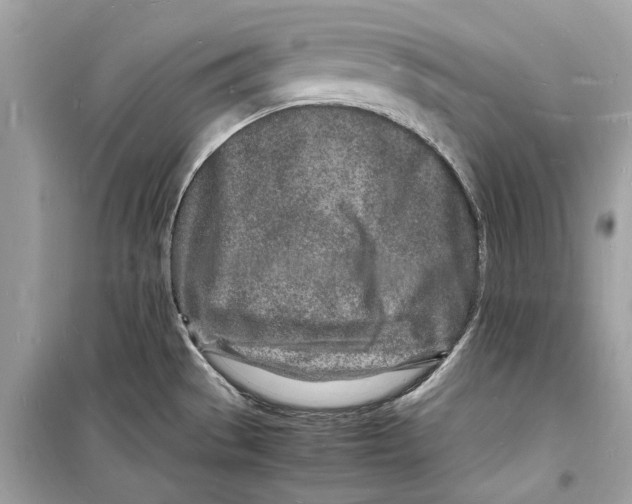 X0000098181529200805221526