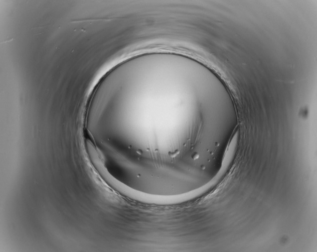 X0000098181530200805221526