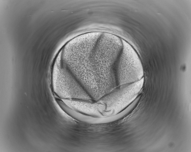 X0000098181531200805221526