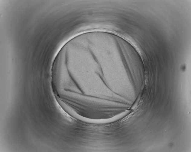 X0000098181532200805221526