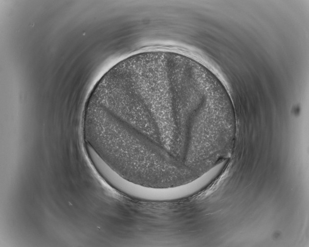 X0000098181533200805221526