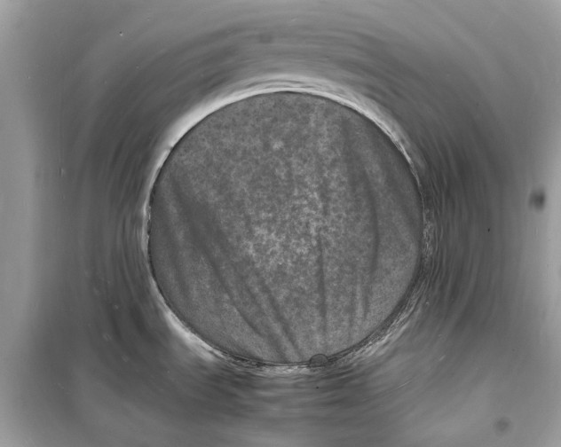 X0000098181535200805221526