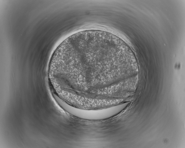 X0000098181536200805221526