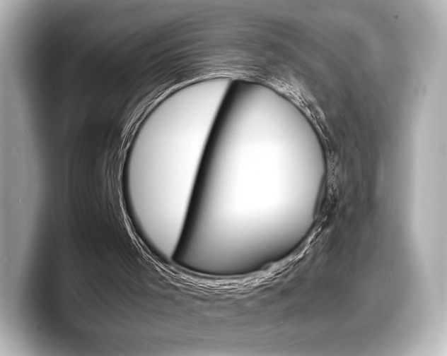 X0000098190001200804241100