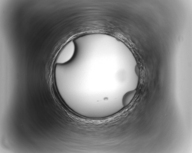 X0000098190002200804241100
