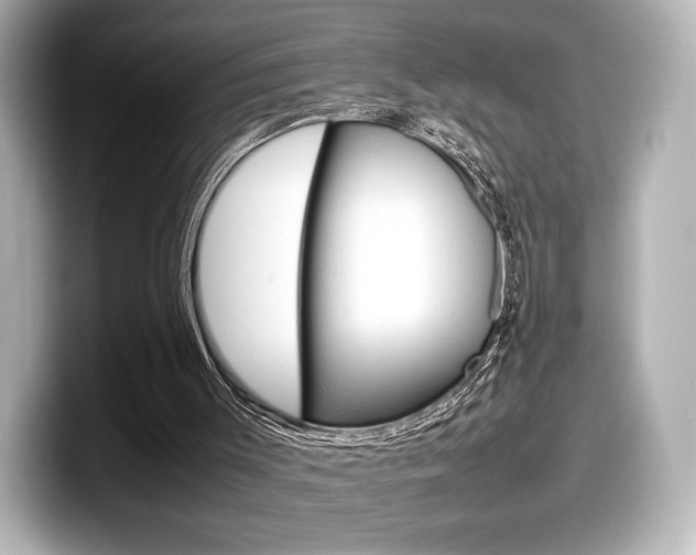 X0000098190003200804241100