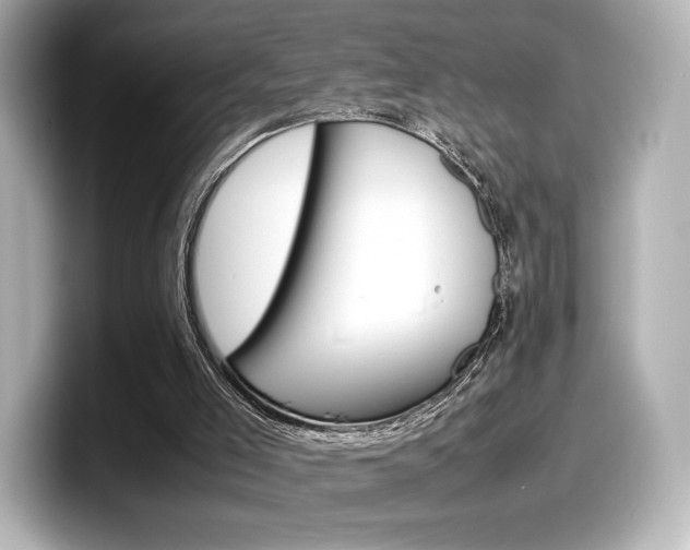 X0000098190005200804241100