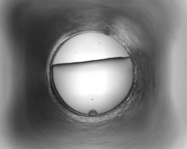 X0000098190006200804241100