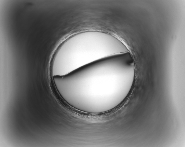 X0000098190008200804241100