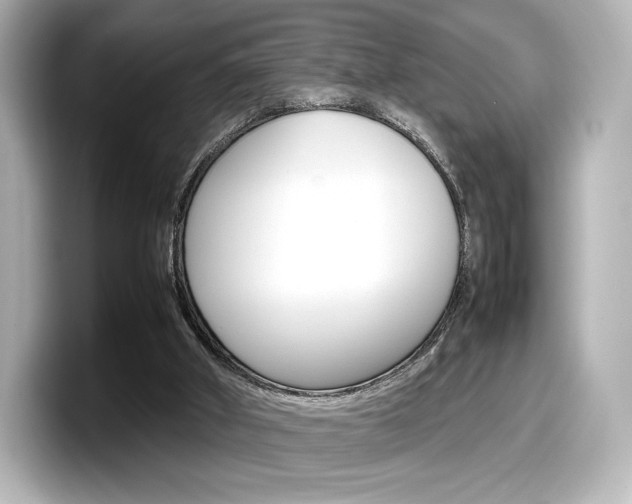 X0000098190010200804241100