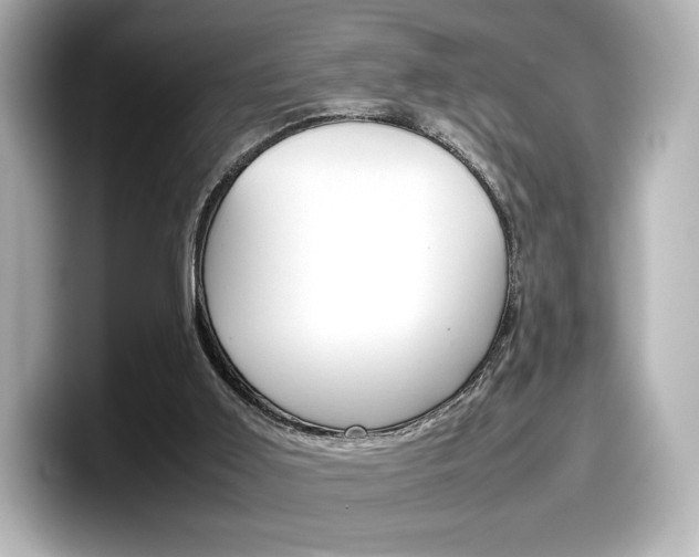 X0000098190011200804241100