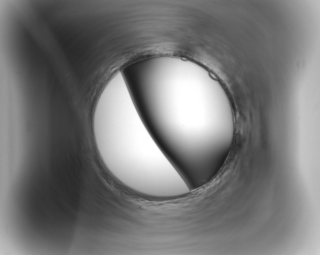 X0000098190013200804241100
