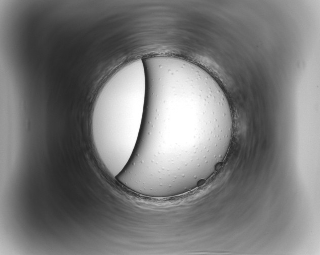 X0000098190014200804241100