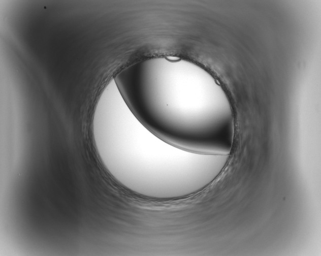 X0000098190017200804241100