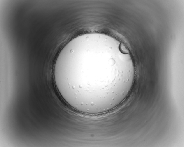 X0000098190018200804241100