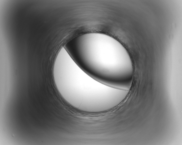 X0000098190021200804241100