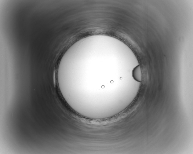 X0000098190022200804241100