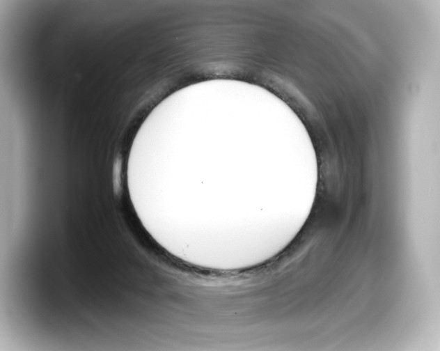 X0000098190024200804241100