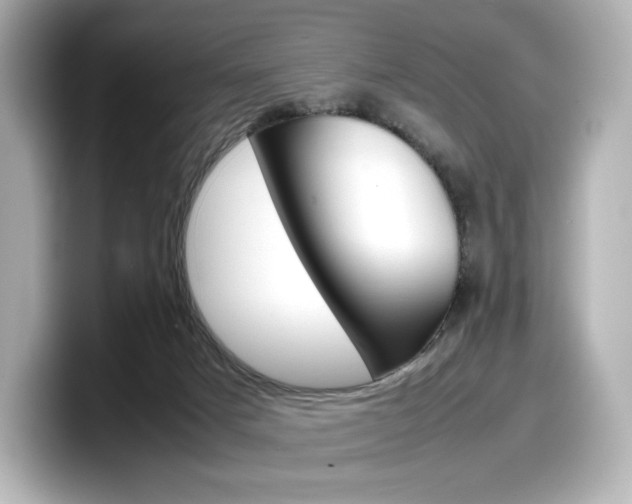 X0000098190025200804241100