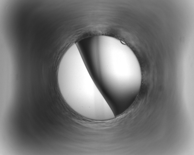 X0000098190027200804241100