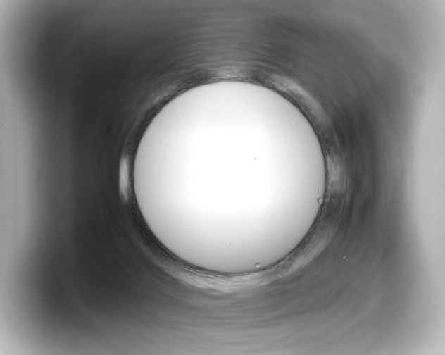 X0000098190028200804241100