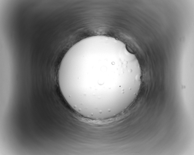 X0000098190030200804241100