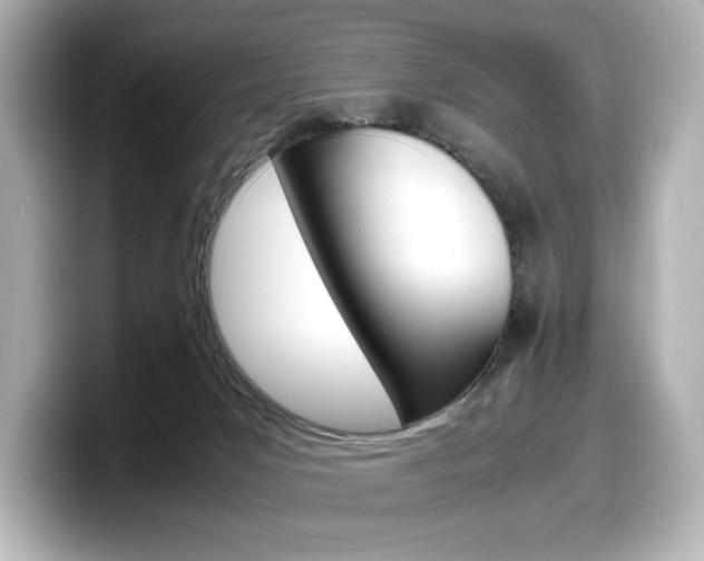 X0000098190031200804241100