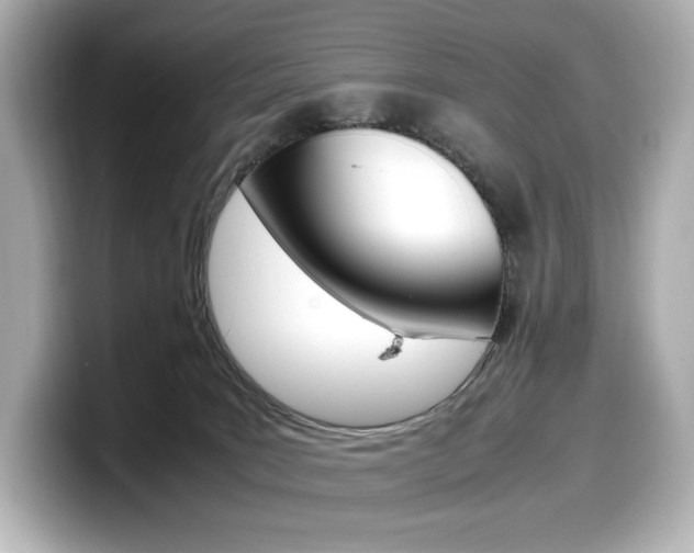 X0000098190035200804241100