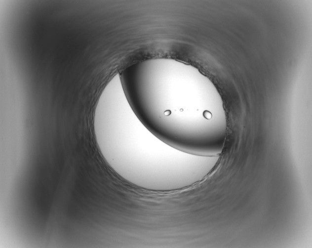 X0000098190037200804241100