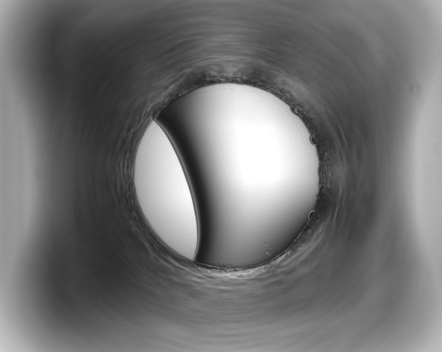 X0000098190040200804241100