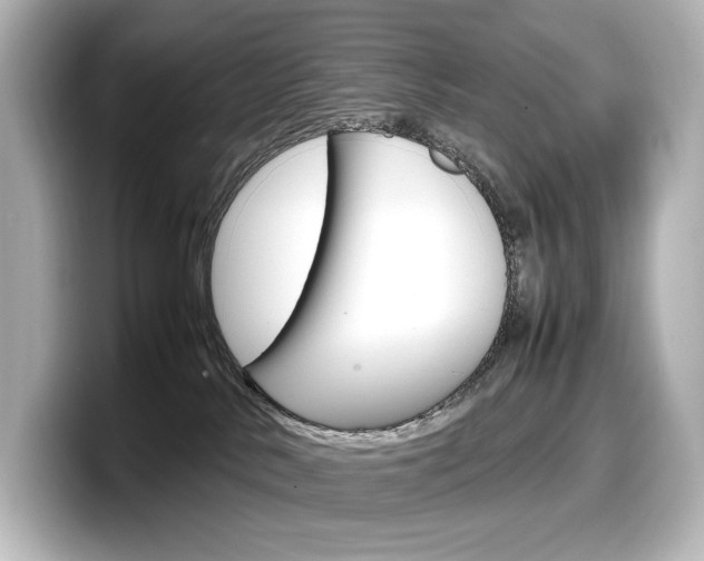 X0000098190042200804241100