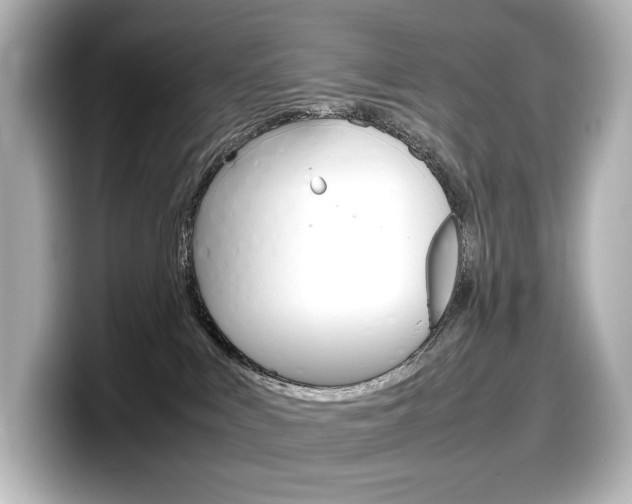X0000098190043200804241100