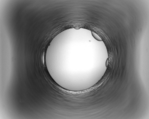 X0000098190046200804241100