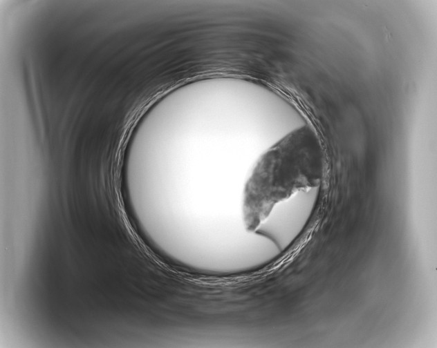 X0000098190049200804241059