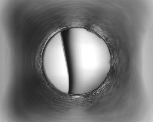 X0000098190050200804241059