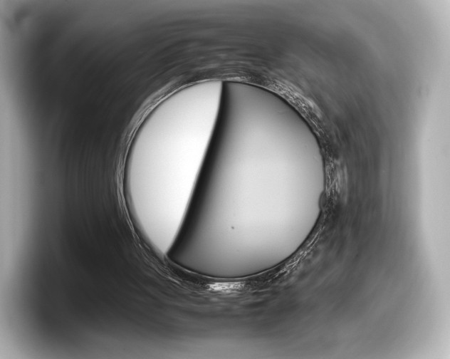X0000098190051200804241059