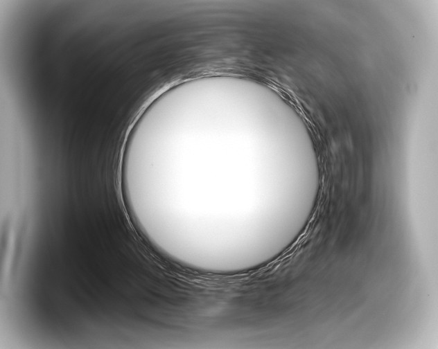 X0000098190052200804241059
