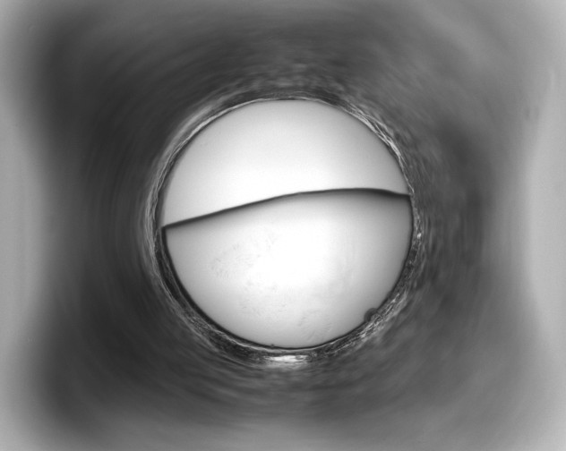 X0000098190053200804241059