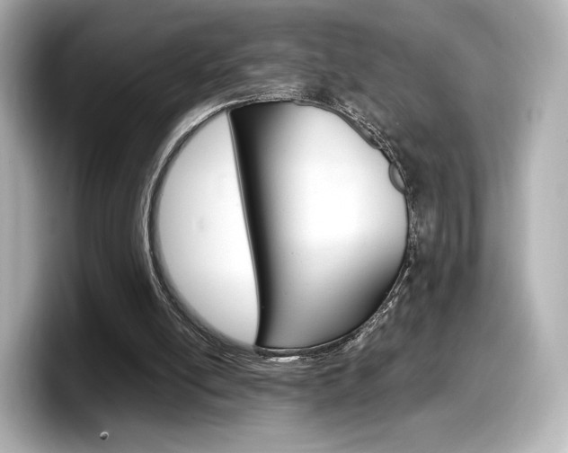 X0000098190054200804241059