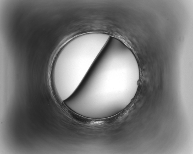 X0000098190055200804241059