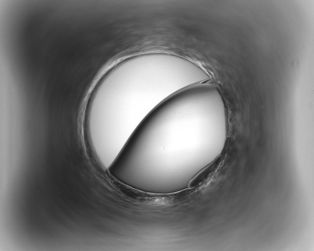 X0000098190056200804241059