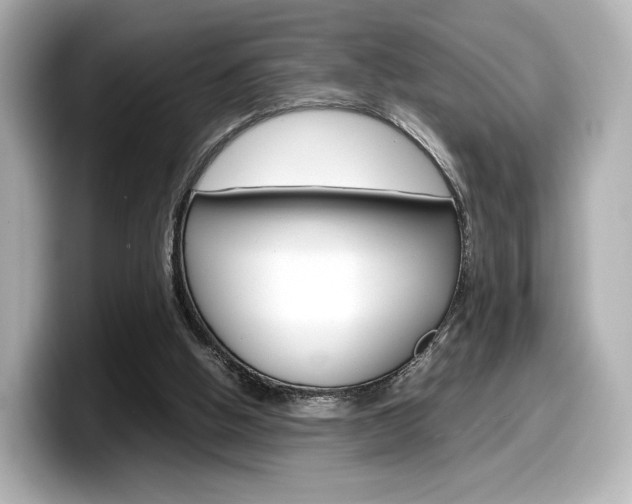 X0000098190058200804241059