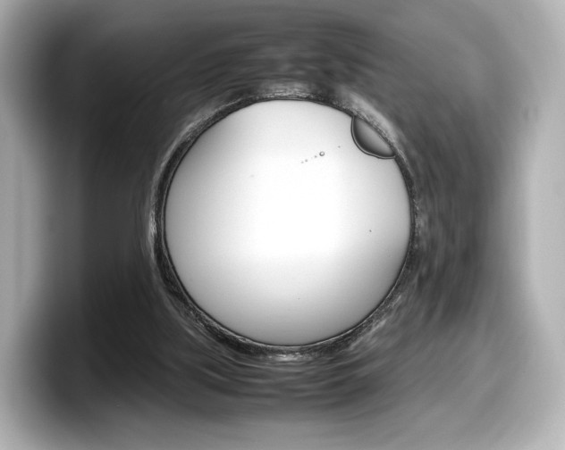 X0000098190059200804241059