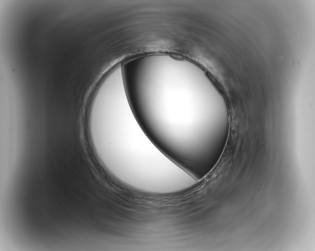 X0000098190060200804241059