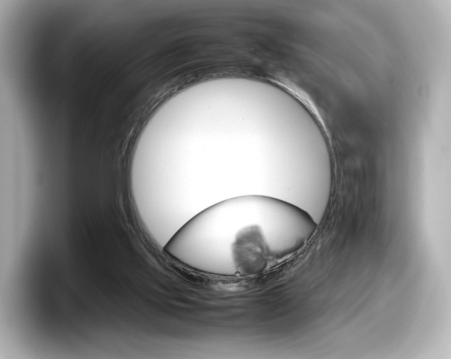 X0000098190061200804241059