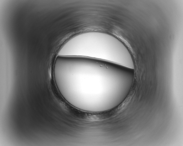 X0000098190062200804241059