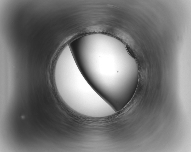 X0000098190064200804241059
