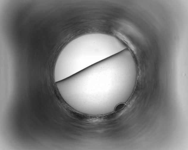 X0000098190065200804241059